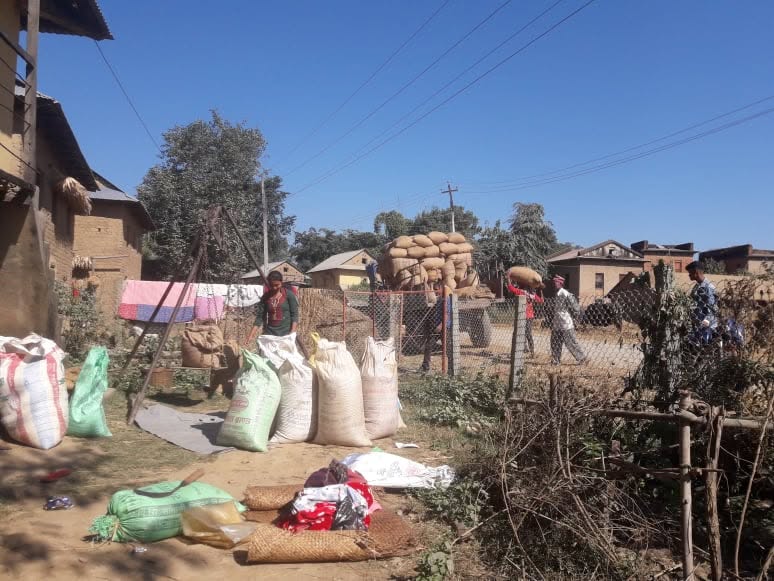 Sacks of harvested produce near a rural home