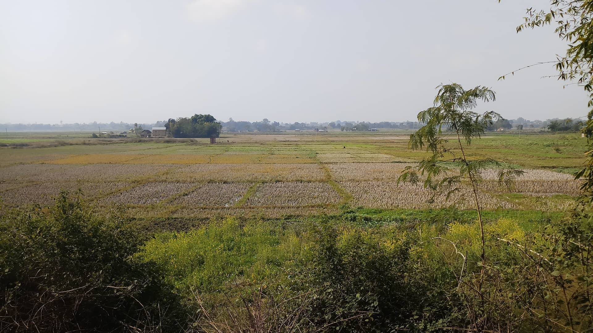 Agricultural fields stretching across the Malawar landscape